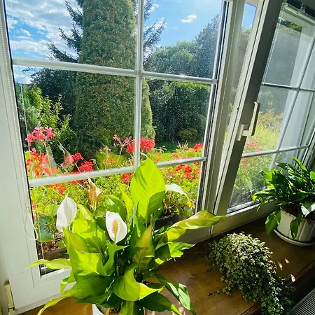 Krasny V Brane Luzickych Hor Apartman Cvikov